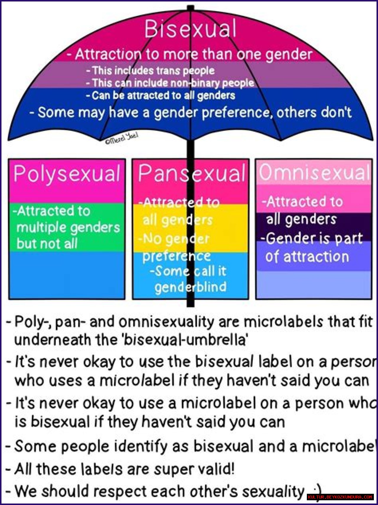 Antony's Bisexuality: Exploration Of Identity And Acceptance